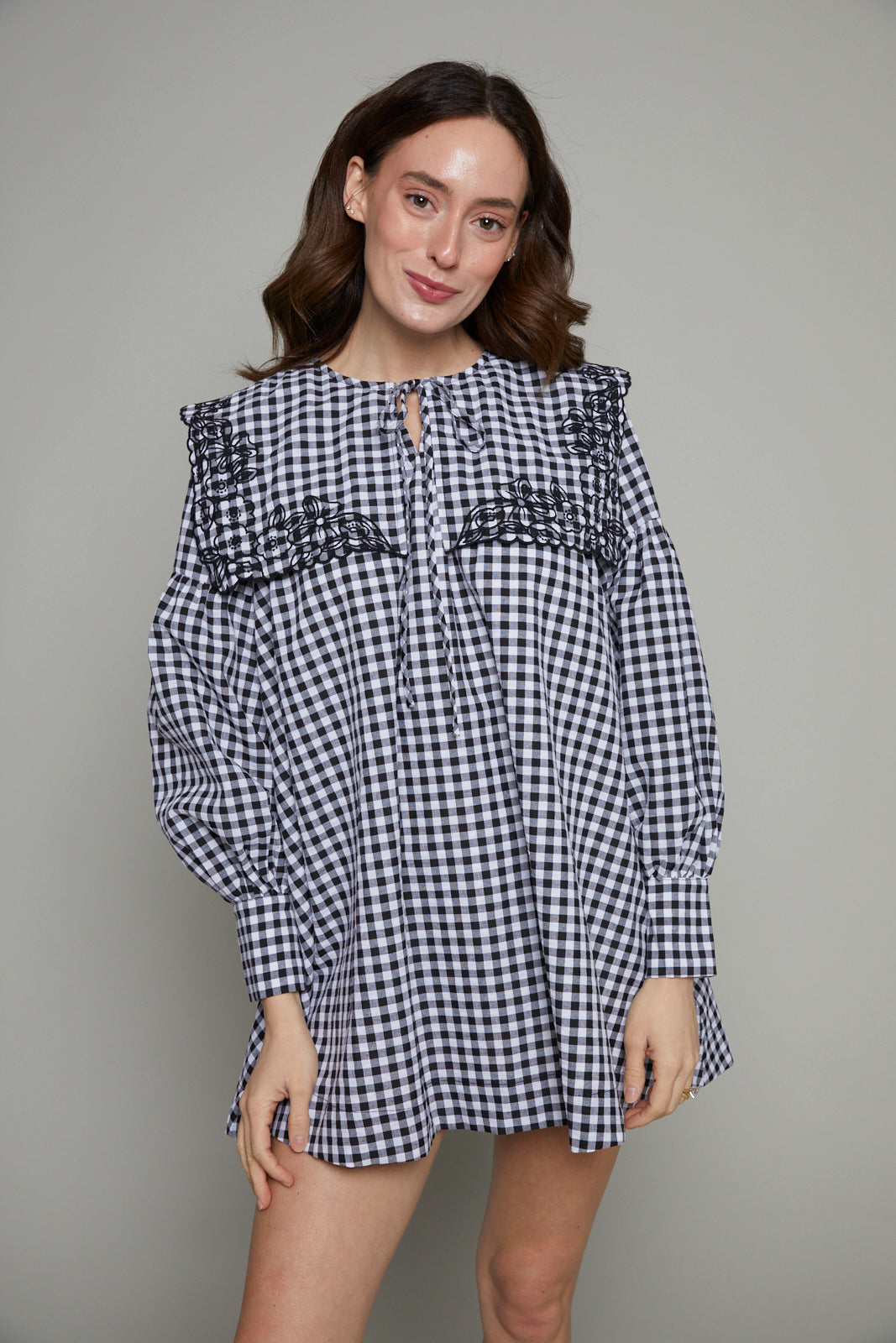 Eloise Gingham Embroidered Collar Mini Dress