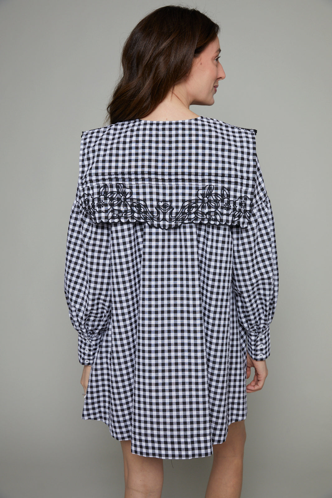 Eloise Gingham Embroidered Collar Mini Dress