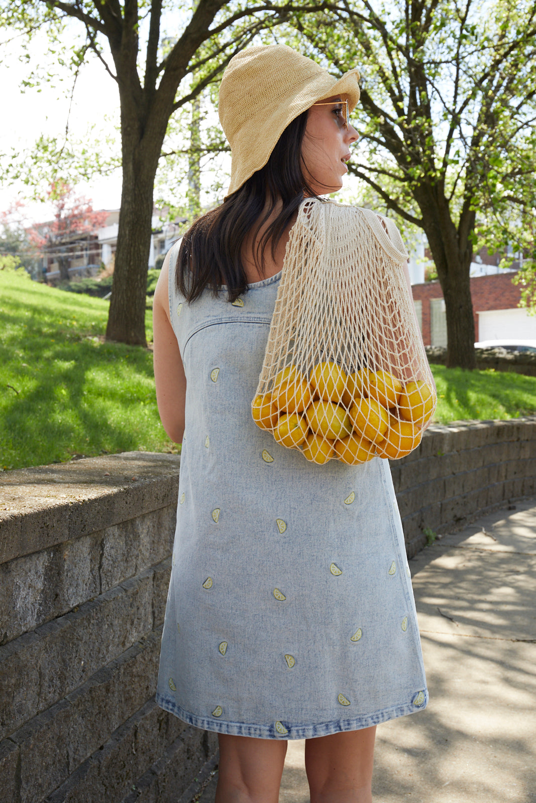 Posie Lemon Embroidered Denim Dress No. 14 Posie Lemon Embroidered Denim Dress No. 14