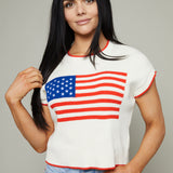 Parker American Flag Sweater Vest