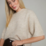 Tory Short Sleeve Crewneck Sweater