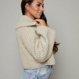 Aries Collared Cropped Pullover Sweater