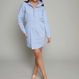 Paloma Cinched Waist Striped Mini Dress