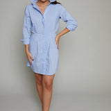 Paloma Cinched Waist Striped Mini Dress