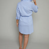 Paloma Cinched Waist Striped Mini Dress