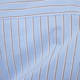 Paloma Cinched Waist Striped Mini Dress