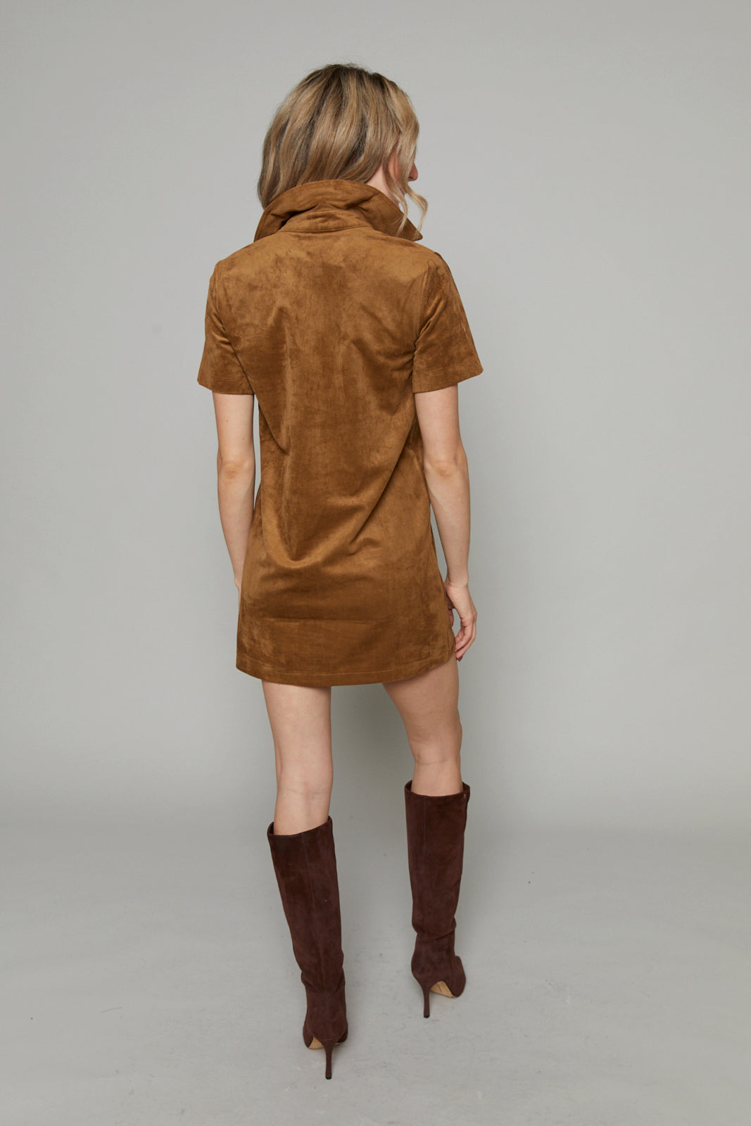 Levi Faux Suede Mini Dress