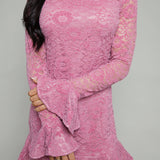 Dimitria Velvet Lace Mini Dress