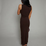 Ivana Mesh Maxi Dress