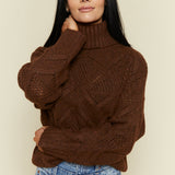 Saige Cable Knit Turtleneck Sweater - Brown