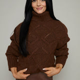 Saige Cable Knit Turtleneck Sweater - Brown