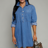 Lori Denim Shirt Dress